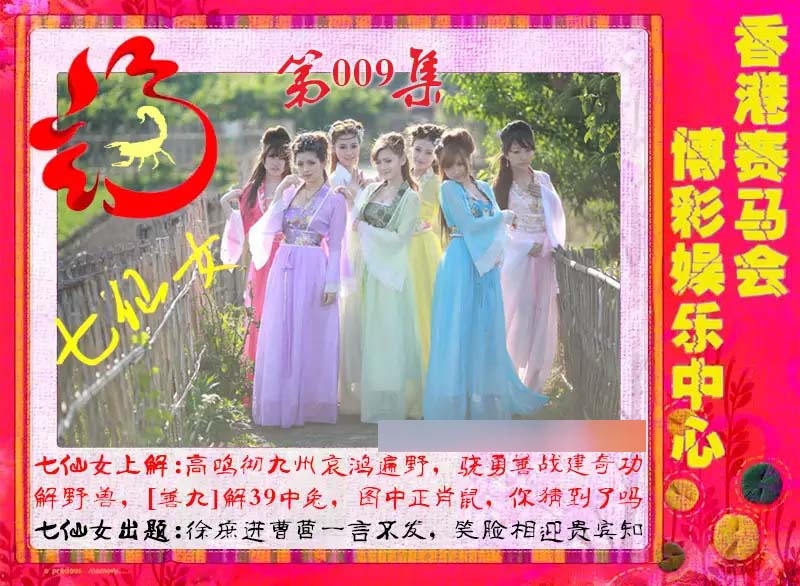 009期七仙女[图]